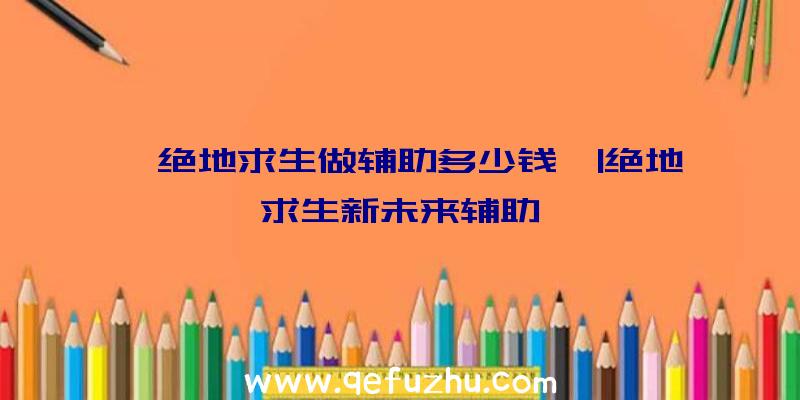 「绝地求生做辅助多少钱」|绝地求生新未来辅助
